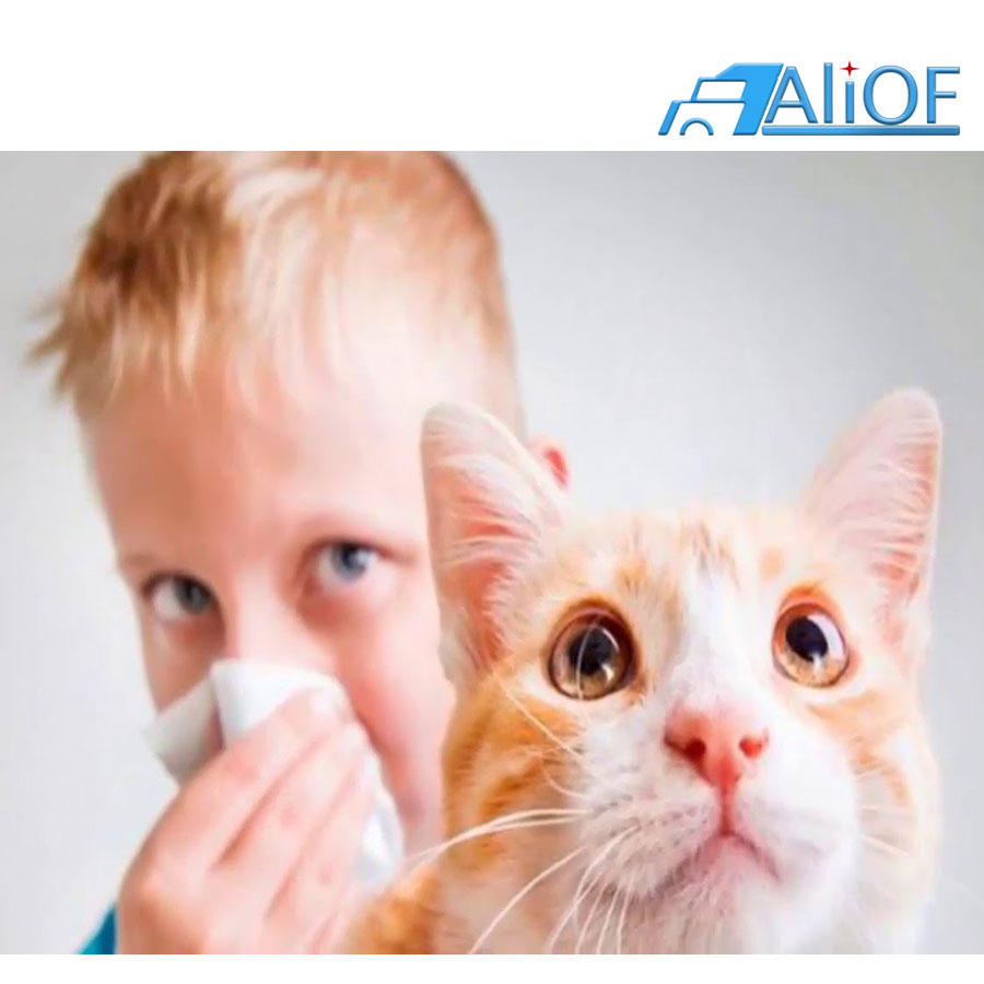 Аллергия на животных – это физическая реакция человеческого тела на животное.